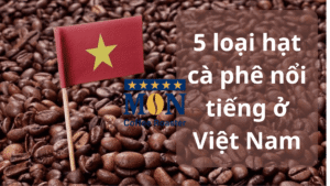 5 loại hạt cà phê nổi tiếng ở Việt Nam