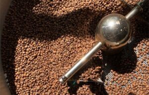 Vì sao phải biết cách bảo quản cà phê rang xay?