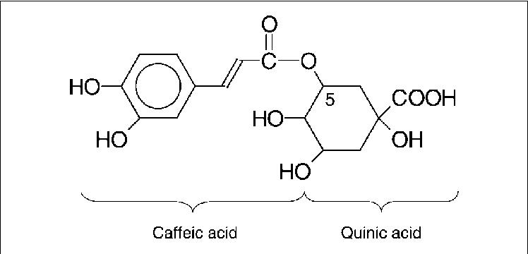 CGA không bốc hơi, nhưng thay vào đó phân hủy thành axit quinic và caffeic