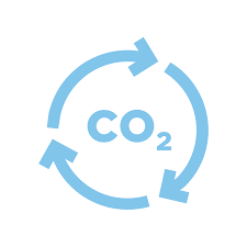 CO2 có vai trò tạo độ đậm đà (body coffee) cho cà phê