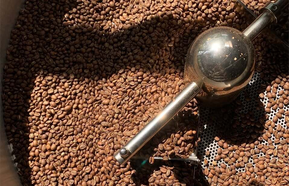 Cà phê chín đều là gì