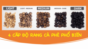 Cà phê rang light có gì khác so với medium và dark