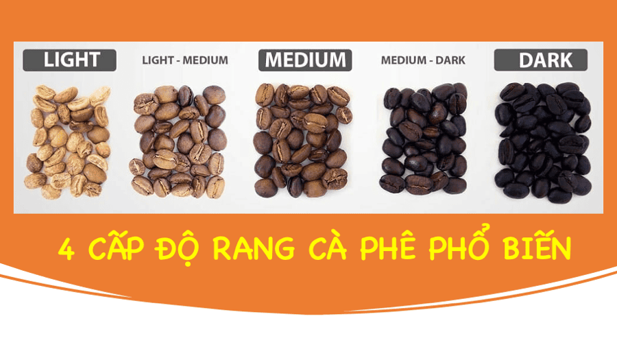 Cà phê rang light có gì khác so với medium và dark