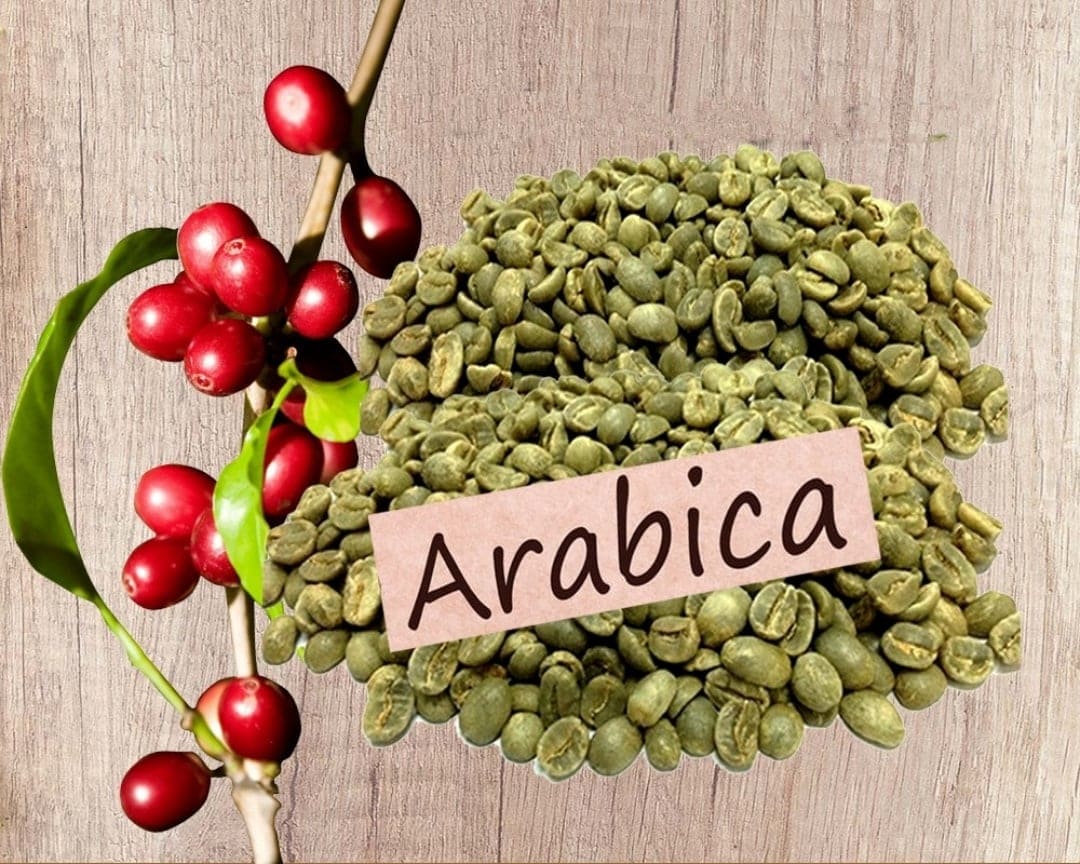 Cách lưu trữ cafe Arabica