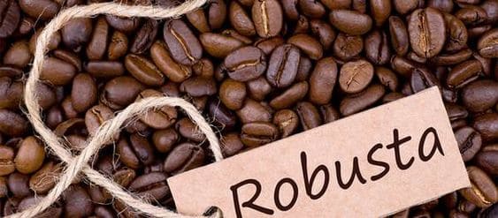 Cách lưu trữ cafe Robusta