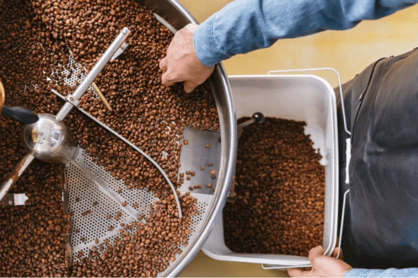 Cách rang cà phê từ sách dạy cà phê The Coffee Roaster’s Companion
