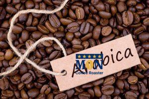 Cafe Arabica