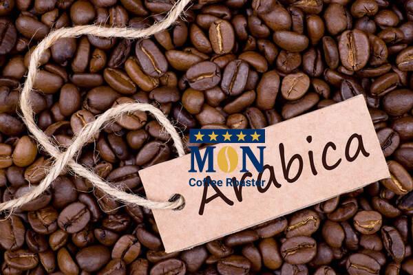 Cafe Arabica