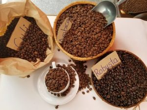 Culi, Robusta, Arabica hay Mocha - từng loại mang đến hậu vị đặc trưng và độ phức tạp riêng biệt.