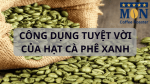 Công dụng hạt cà phê xanh