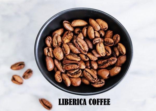 Hương vị khác biệt của cà phê Liberica có đáng để thử