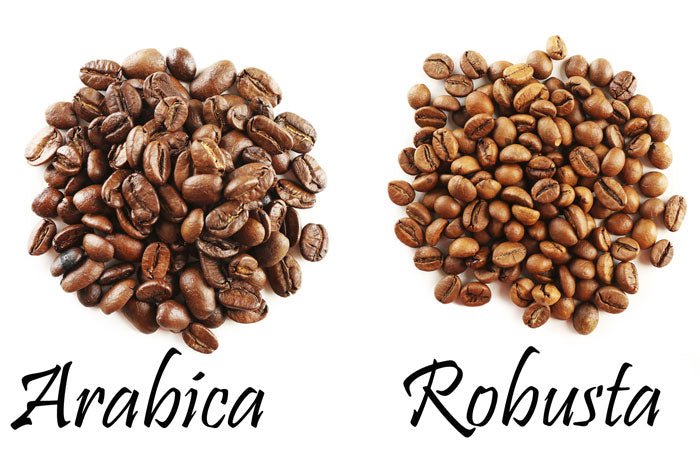 Lựa chọn cà phê Arabica và Robusta để pha chế espresso