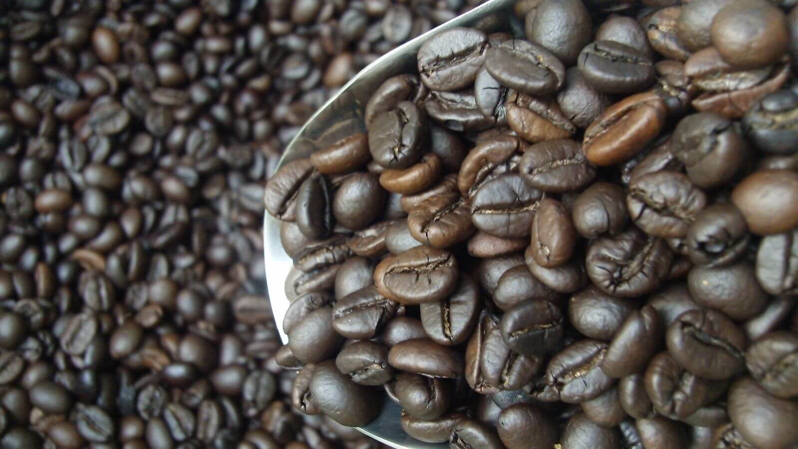 Mức độ rang đậm của hạt cà phê Americano