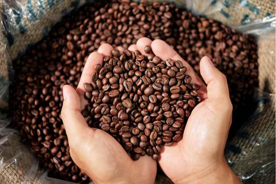 Nên mua ở cửa hàng uy tín để tránh cà phê giả
