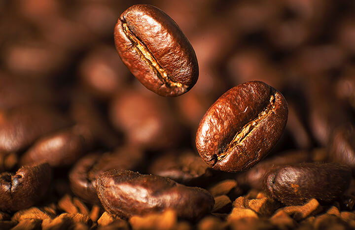 Nguồn gốc của hạt cà phê Excelsa