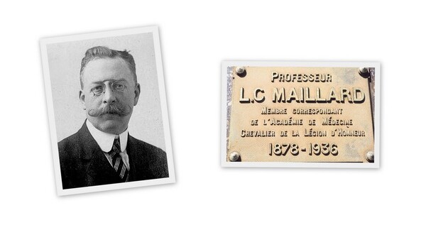 Phản ứng hóa học Millard được mô tả lần đầu tiên vào năm 1910 bởi Louis Camille Maillard, bác sĩ người Pháp