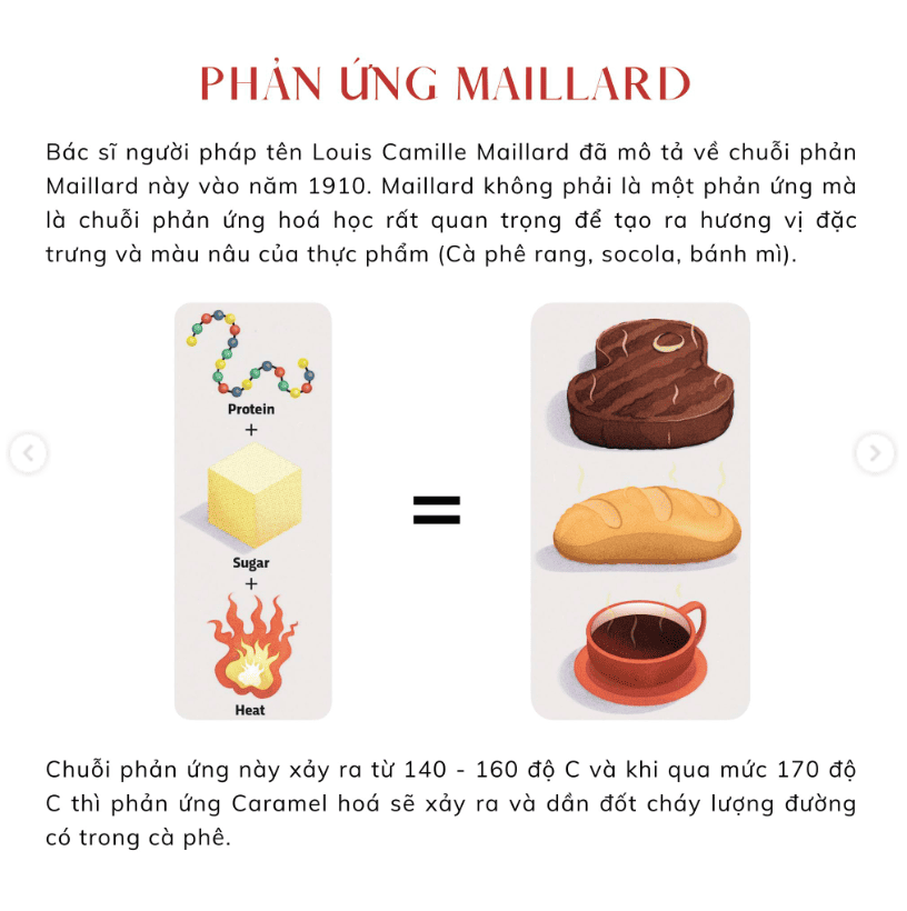 Phản ứng maillard trong hướng dẫn rang cà phê