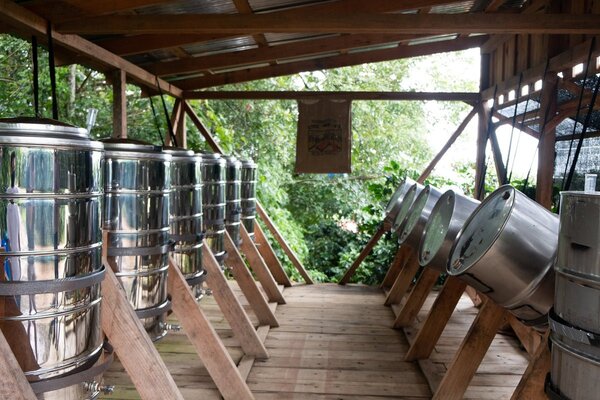 Quá trình này chỉ có thể diễn ra khi oxi được loại bỏ hoàn toàn.