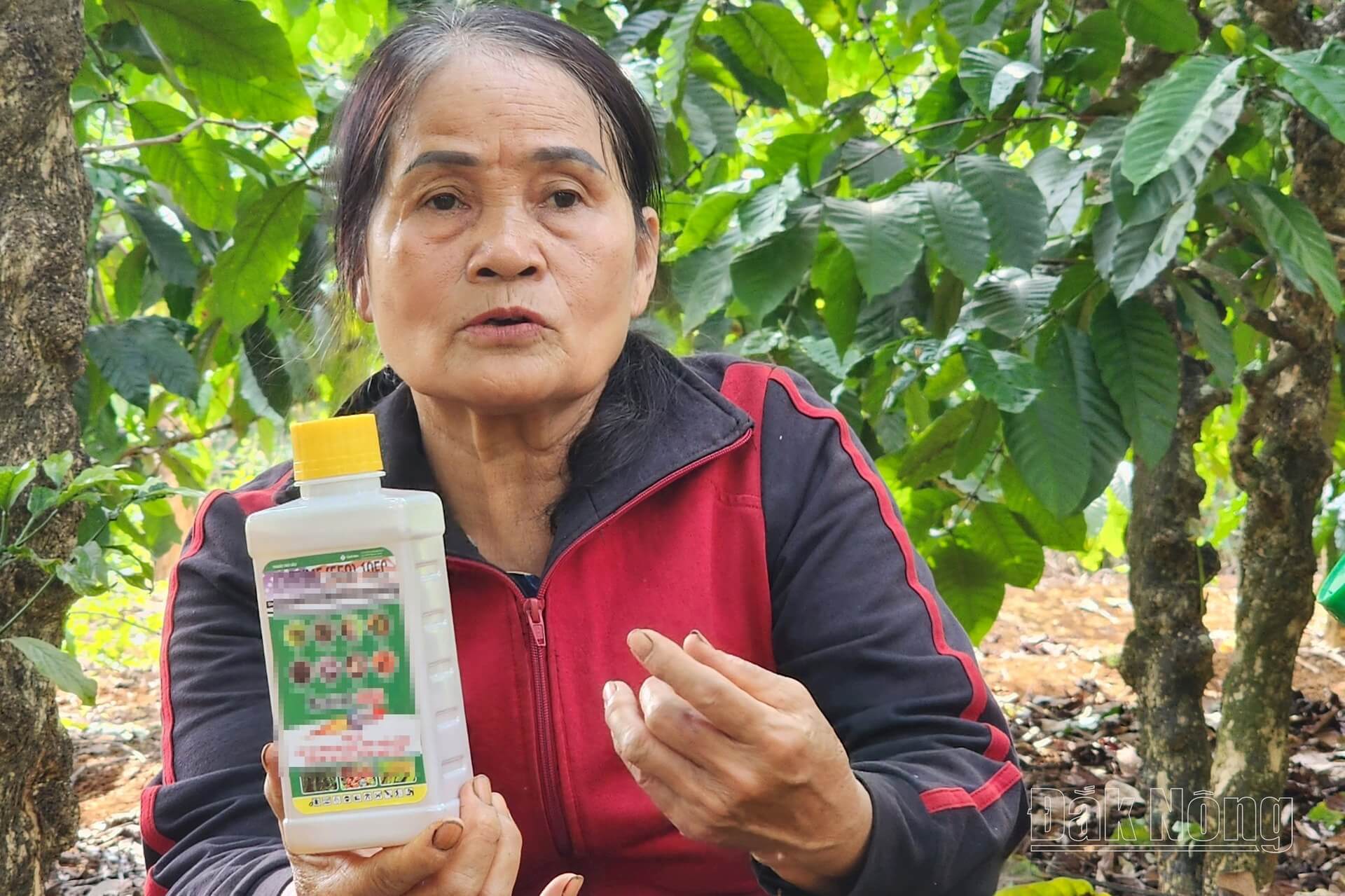 Sử dụng thuốc bảo vệ thực vật cho bệnh gỉ sắt trên cà phê