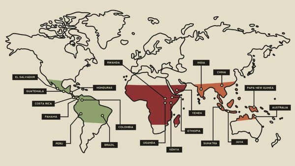 The Bean Belt