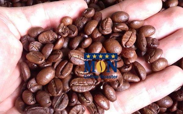 Arabica
