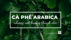 ca-phe-Arabica