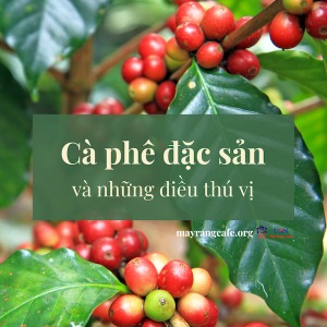 ca-phe-dac-san (1)