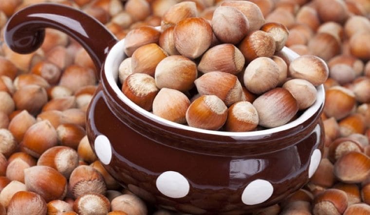 Cà phê hạt phỉ là gì?