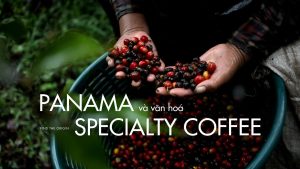 cà phê panama