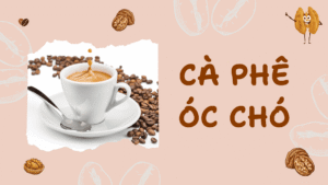Cách pha cà phê óc chó
