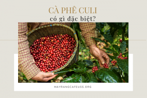 ca-phe-culi