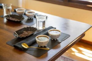 Kỹ thuật Cupping là gì?