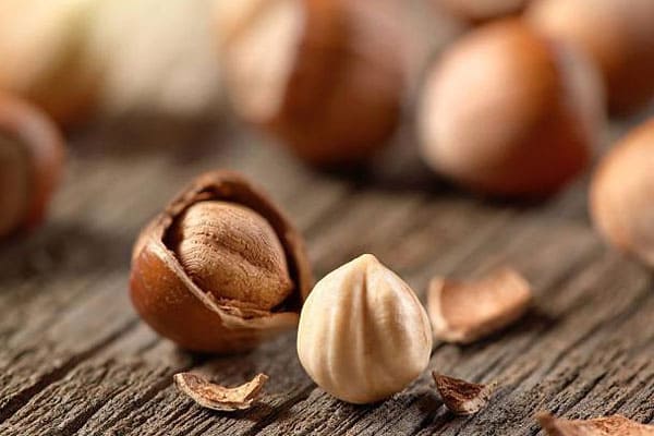 Sự thật thú vị về cà phê hạt phỉ