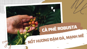 ca-phe-robusta