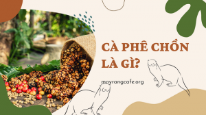 ca-phe-chon