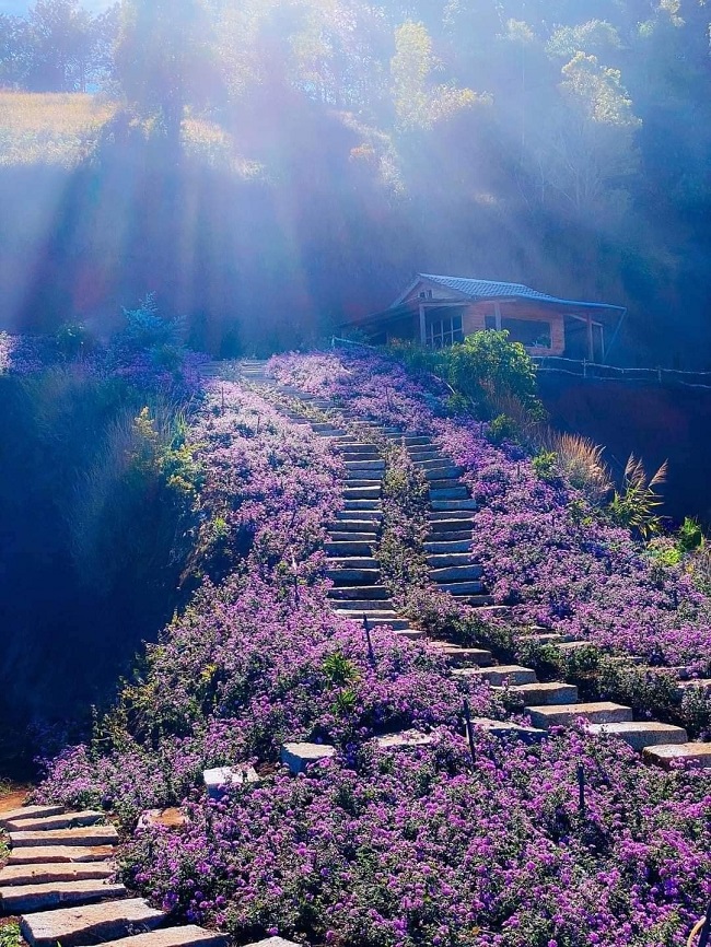 quan-cafe-dep-o-da-lat-6