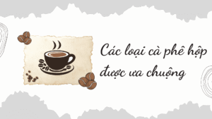 Các loại cà phê hộp được ưa chuộng