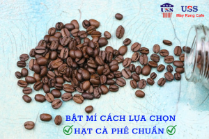 lua chon chat luong hat ca phe chuan